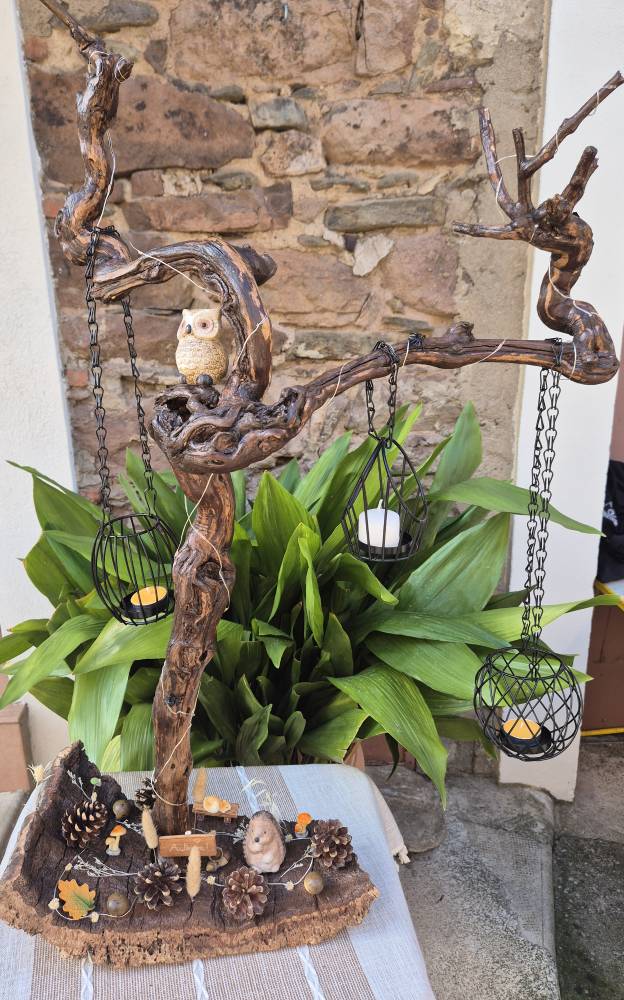 Décoration automne pied de vignes