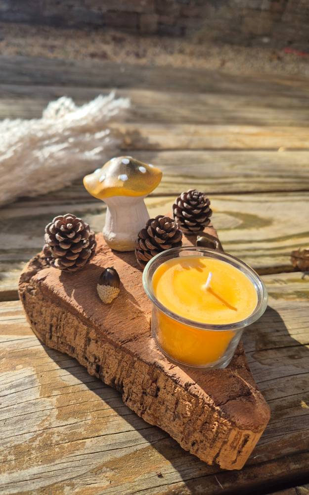 Arbre à bijoux coquillages