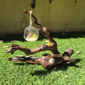 Décoration pied de vignes