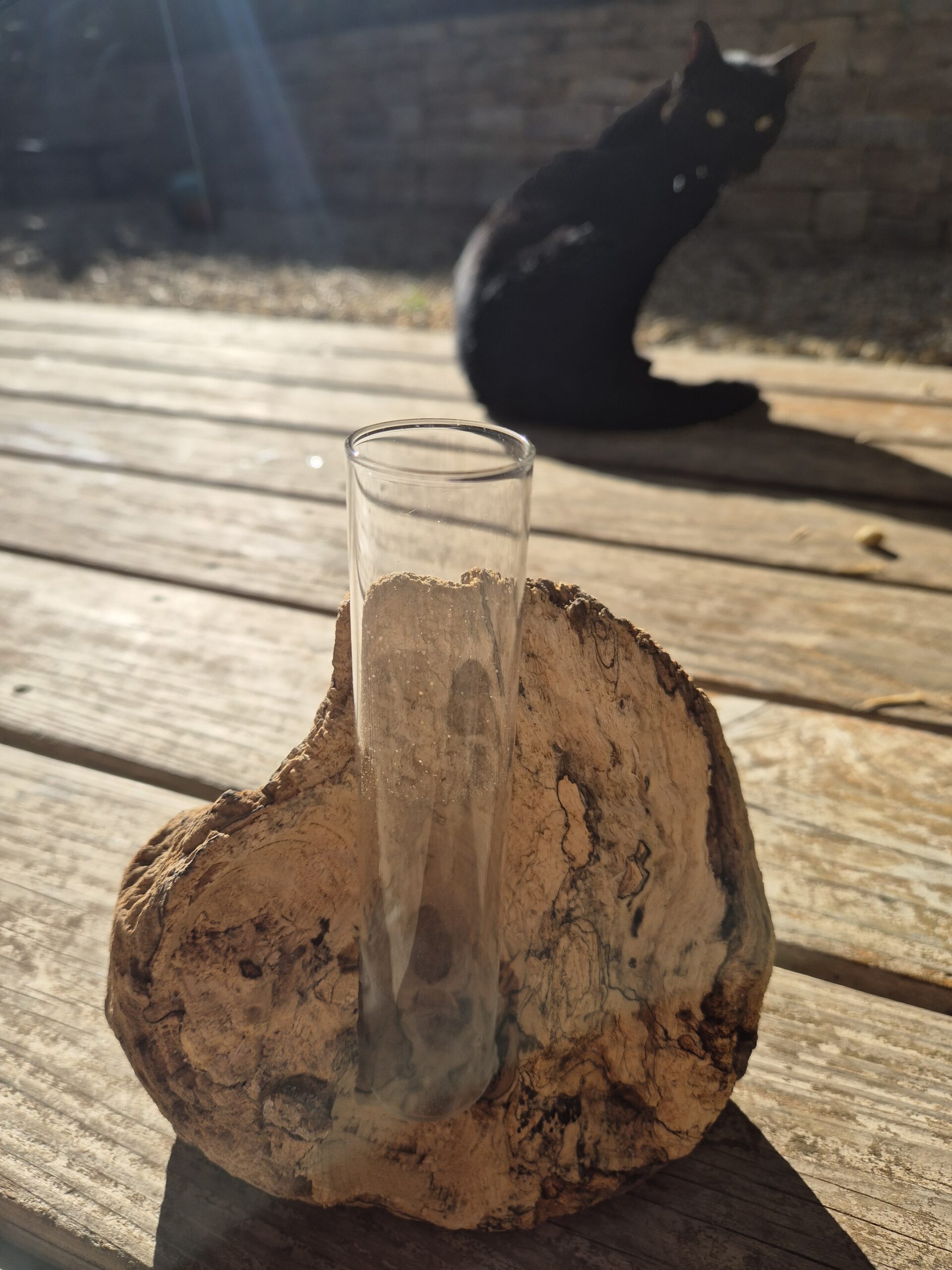 Soliflore sur bois flotté